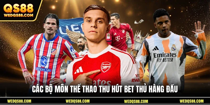 Các bộ môn thể thao thu hút bet thủ hàng đầu